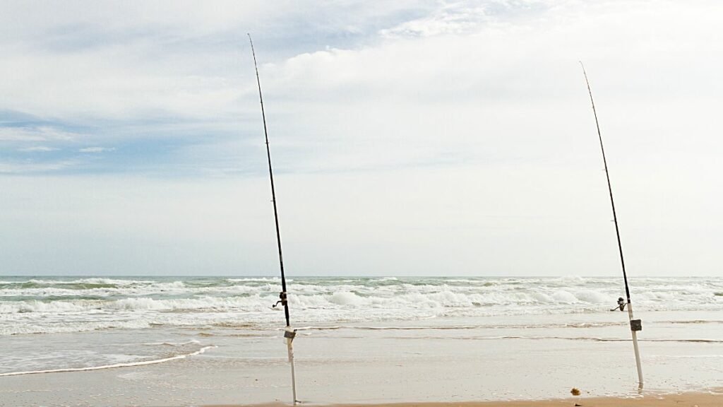  não existe piracema no mar