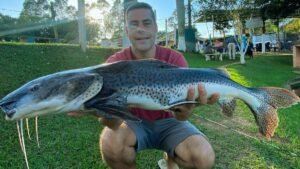 Peixe Pintado Caiaque