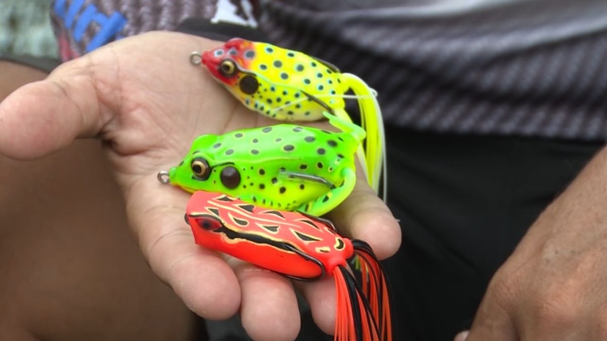 Como Pescar Trairas com Sapos Frogs Caiaque
