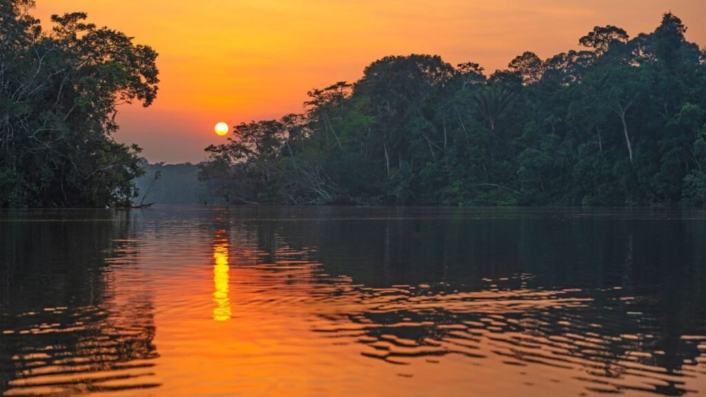 Pesque e Solte - Pescar na Amazônia