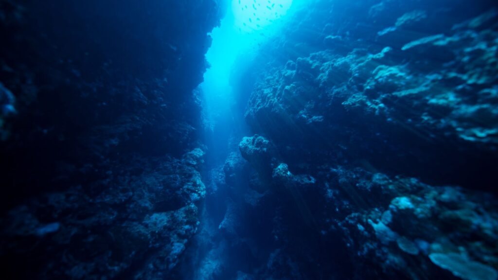 Abismos Oceânicos Mundo Subaquático