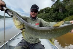 Bicuda: Dicas de Pesca